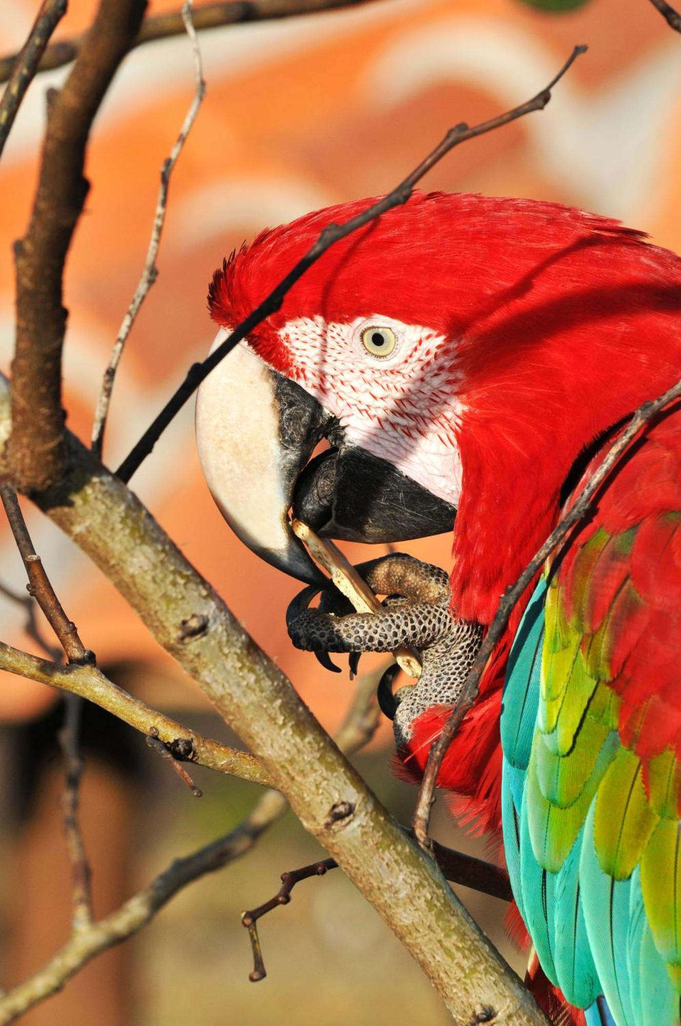 Pousada Fazenda Santa Fe Bezerros Luaran gambar