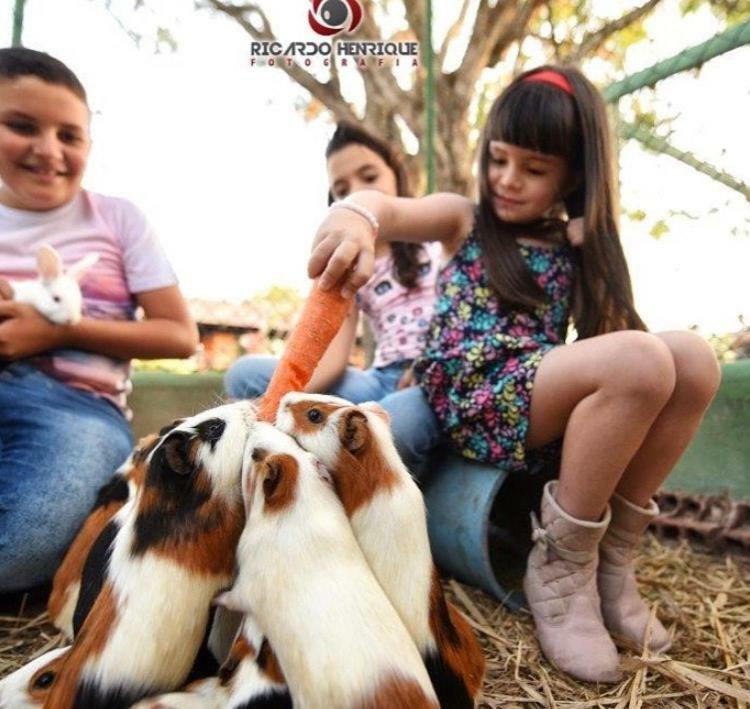 Pousada Fazenda Santa Fe Bezerros Luaran gambar